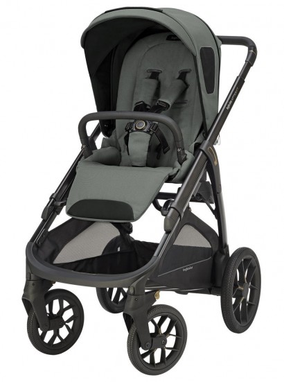 Прогулочная коляска Inglesina Aptica XT 2025 Taiga Green
